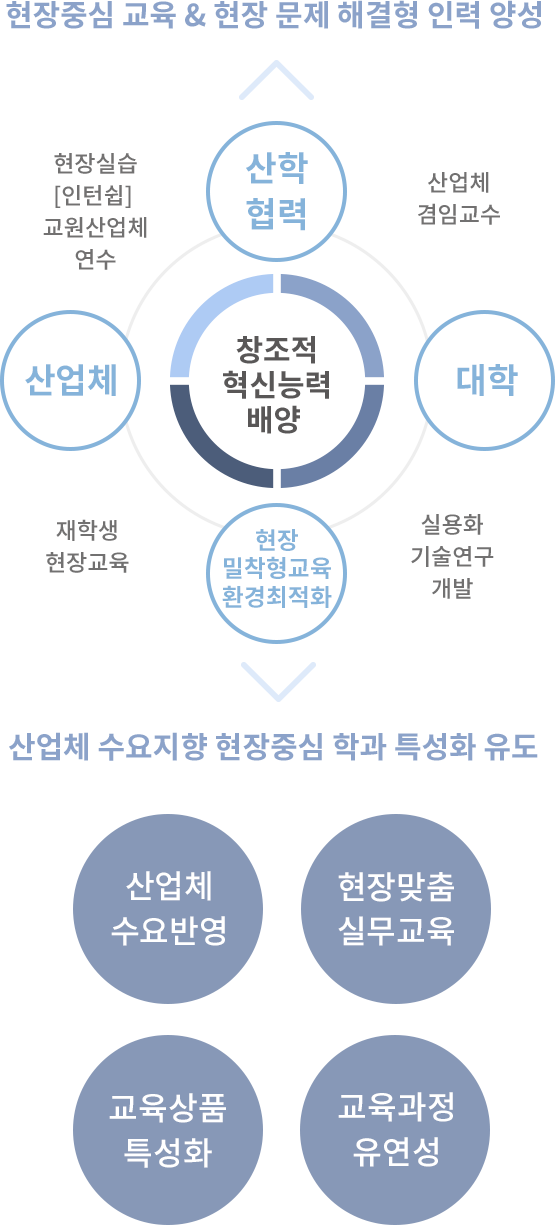 현장중심 교육 & 현장 문제 해결형 인력 양성 : 산학협력 ← 산업체겸임교수 → 대학 ← 실용화기술연구개발 → 현장밀착 형교육환경최적화 ← 재학생현장교육 → 산업체 ← 현장실습[인턴쉽] 교원산업체연수 → 산학협력 - 창조적 혁신능력 배양, 산업체 수요지향 현장중심 학과 특성화 유도: 산업체 수요반영, 현장맞춤 실무교육, 교육상품 특성화, 교육과정 유연성